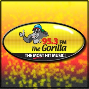 95.3 Gorilla