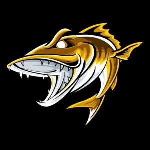 96.5 The Walleye