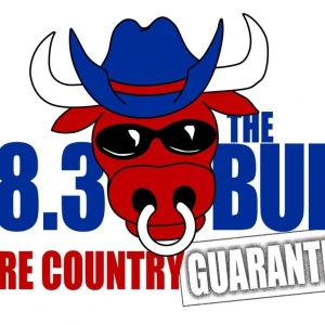 98.3 The Bull