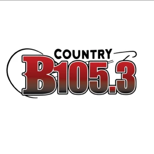 B105.3