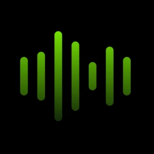 Big Megahertz Radio