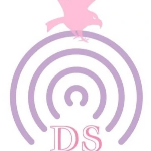 DS Fly Waves Radio
