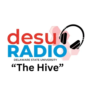 DSU Radio