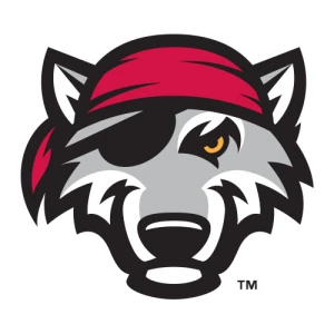Erie SeaWolves Baseball Network