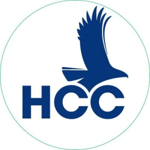 Hawk Radio