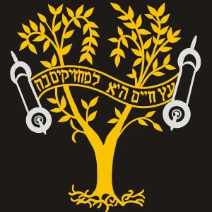 Hebrew Institute Live!