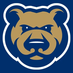 Iowa Cubs Baseball Network