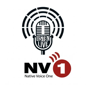 Native Voice One