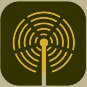 OEM Radio