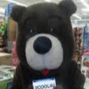 The Bear Country 99.9 FM