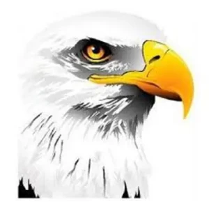 The Eagle