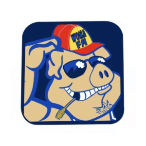 The Hawg 95.1 FM