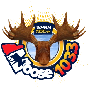 The Moose 103.3 FM