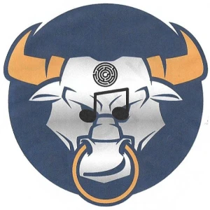 Vyberinth Radio