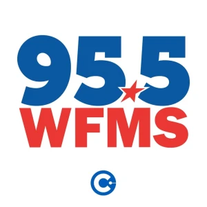 WFMS