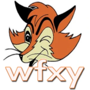 WFXY 98 Rock