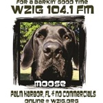 WZIG 104.1 FM