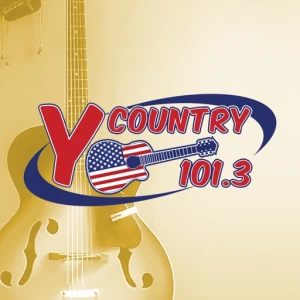 Y101.3
