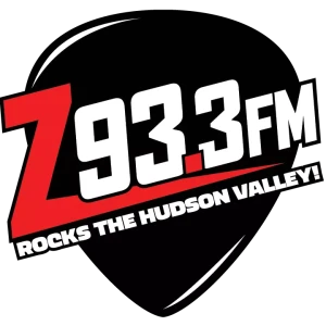 Z93.3