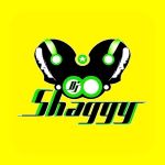Dj Shaggy Venezuela