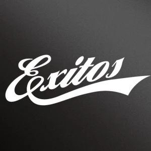 Éxitos 99.1 FM