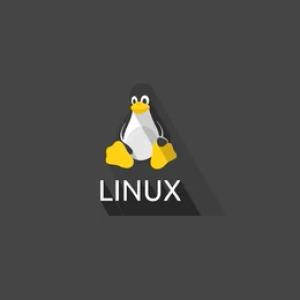 LinuxClickFM