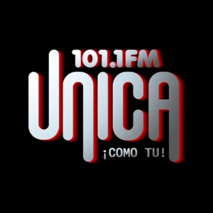 Única 101.1 FM