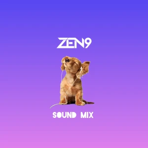 ZEN9 Sound Mix